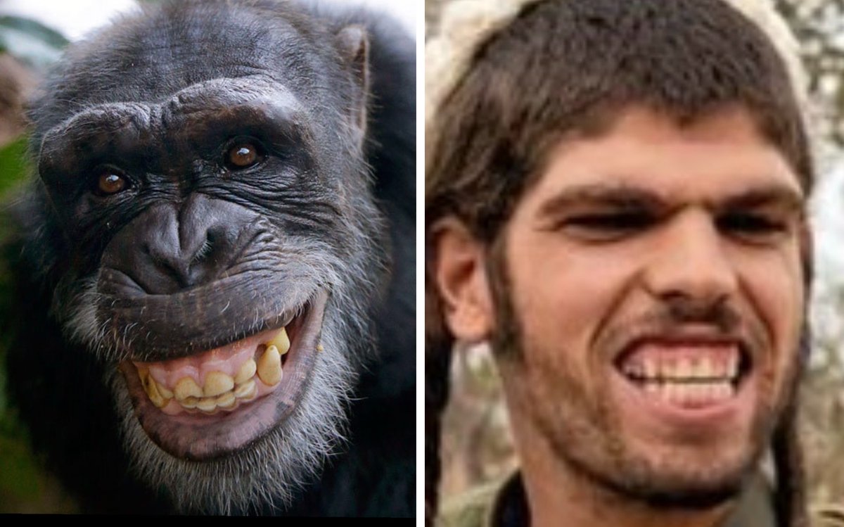 Copperberg tweet media