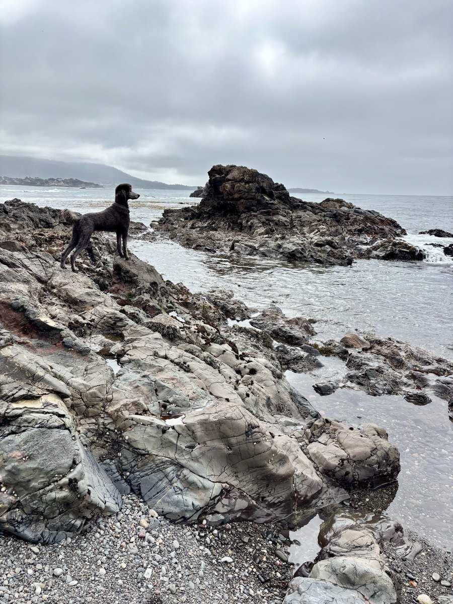 Meridith💚🤍💜 tweet media