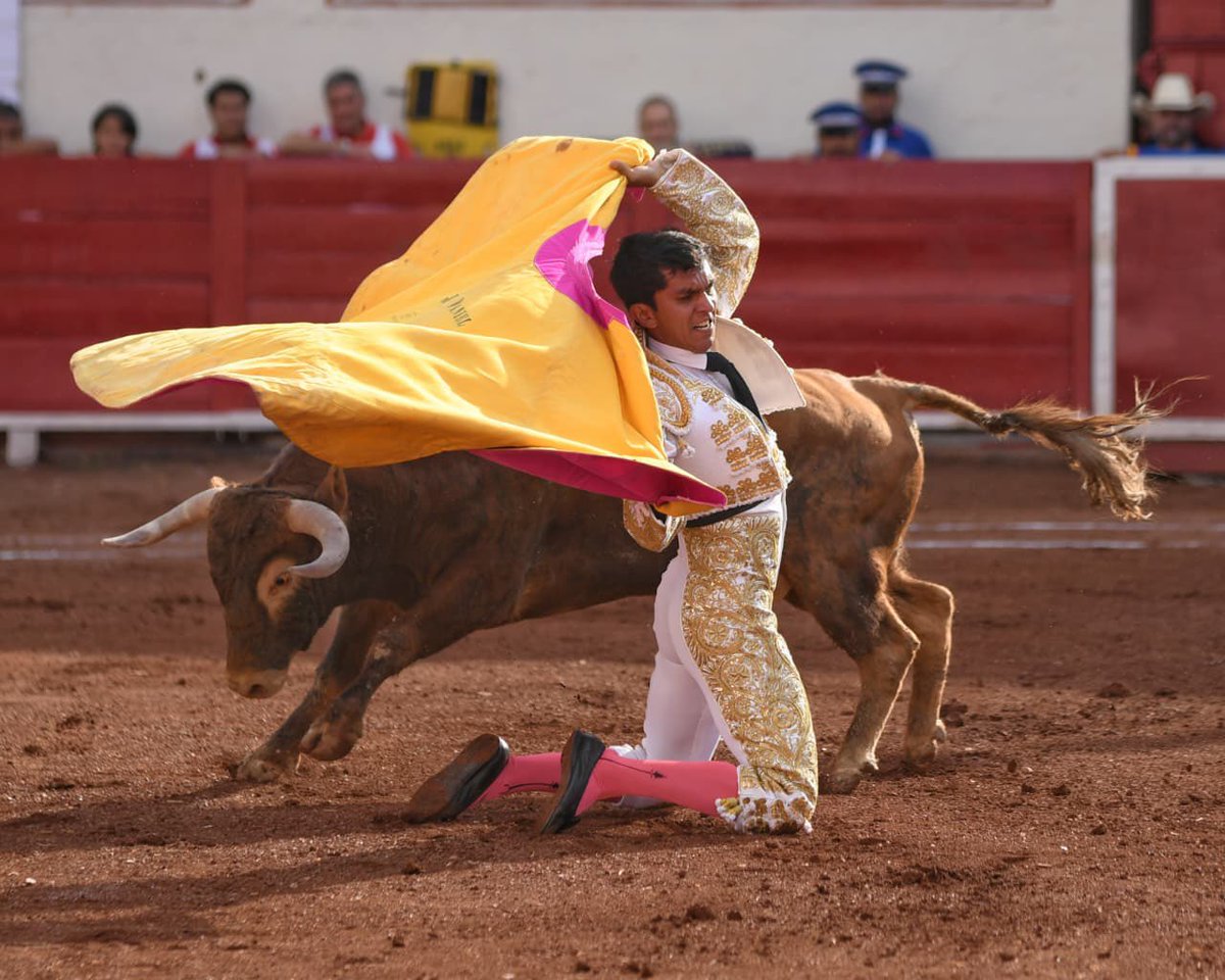 Monumental de Aguascalientes y Plaza San Marcos tweet media