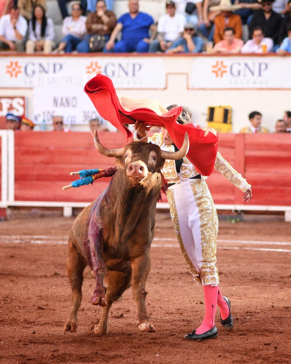 Monumental de Aguascalientes y Plaza San Marcos tweet media
