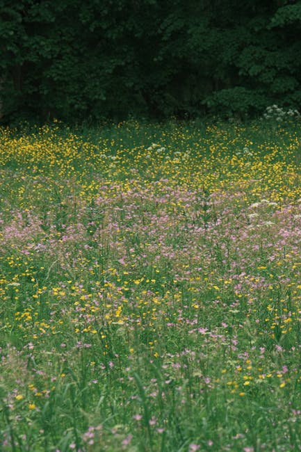 Molly Lewis tweet media