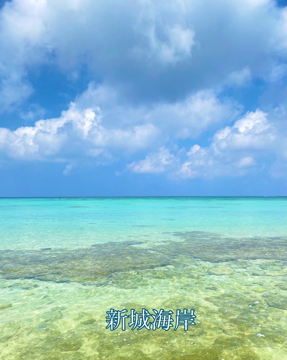 HapiTea(ハピティー) tweet media