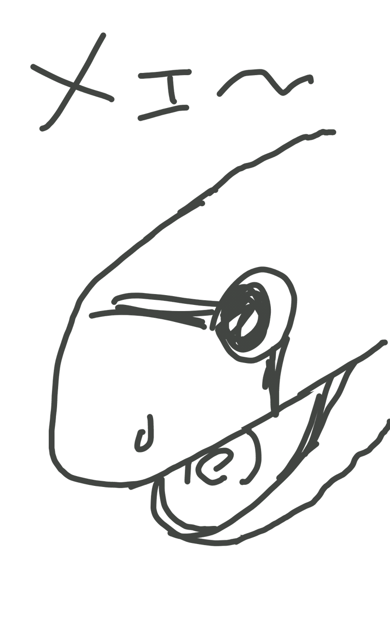 ポリー tweet media