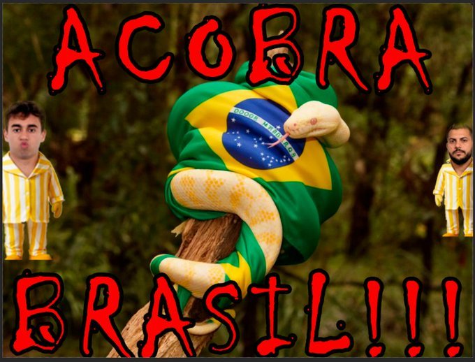 Tio Dos Bits 🇧🇷 🇺🇸 🇮🇱 tweet media