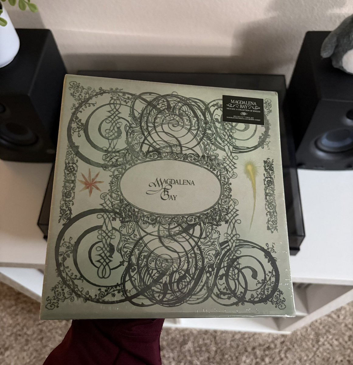 coopierre 🎑 tweet media