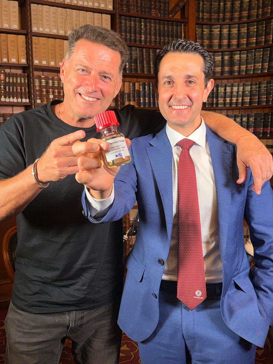 David Crisafulli tweet media