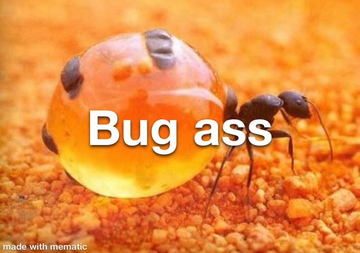 Snorlaxk tweet media