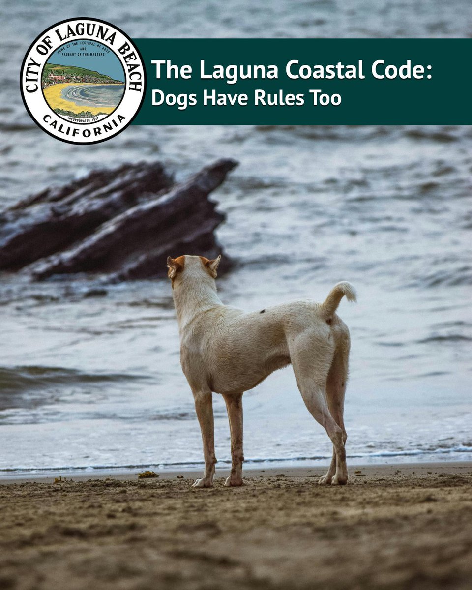 lagunabeachgov's tweet photo. Dogs are part of the crew, but there are rules. Dogs are not allowed on the beach from 9 a.m. to 6 p.m., 6/15-9/10. Outside of those hours, they must be on a leash. Ignore the rules, and you and your pup may be heading home with a citation.
#AProtectedCaliforniaOriginal https://t.co/YvL3OTSSRG