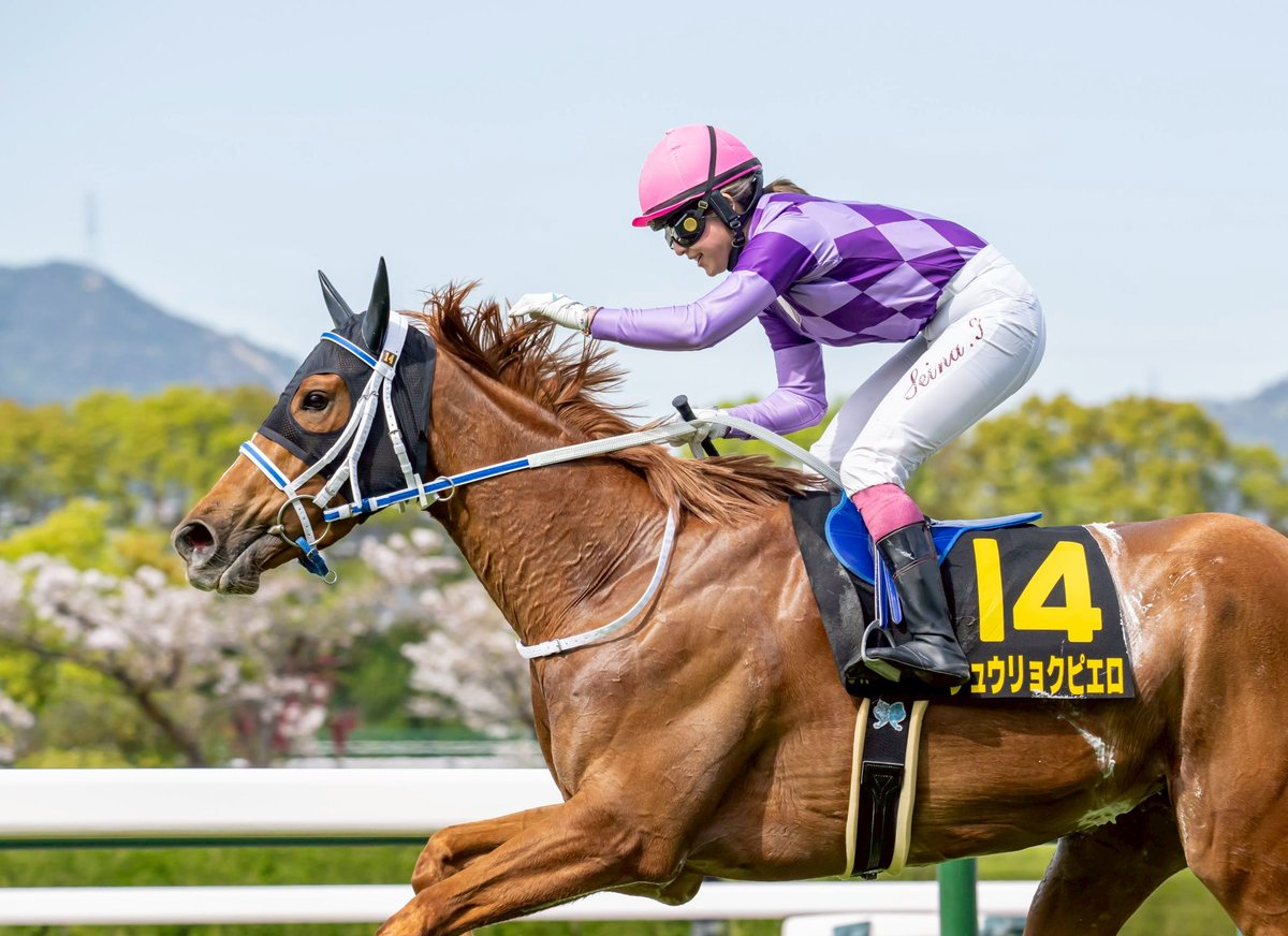 今村聖奈 tweet media