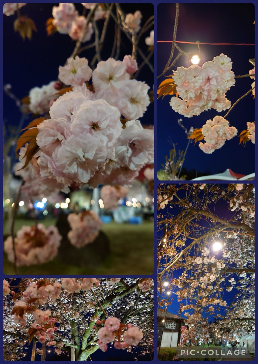 M. TAKASHIMA tweet media