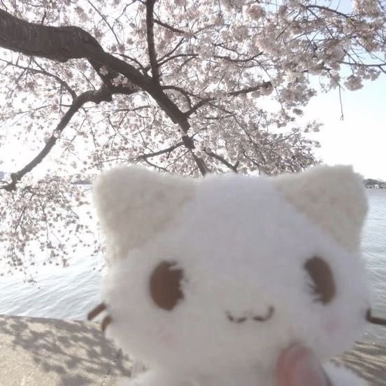 sammi 💿 tweet media