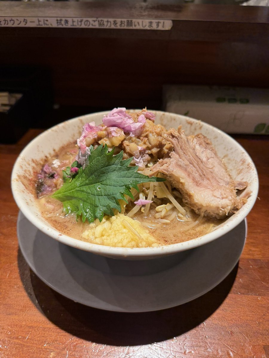 【公式】豚ノヴァ 国分寺本店 tweet media