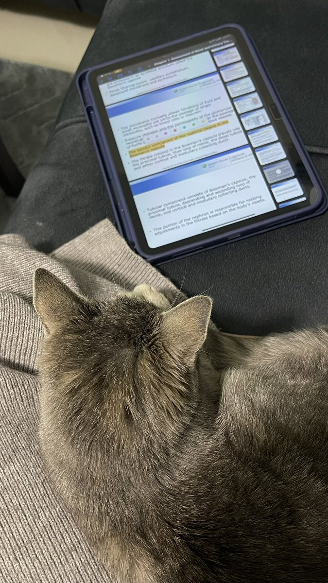 ملاك tweet media