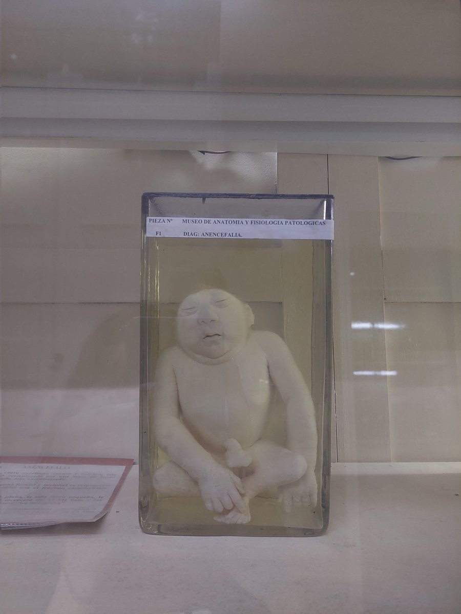 calendaria tweet media