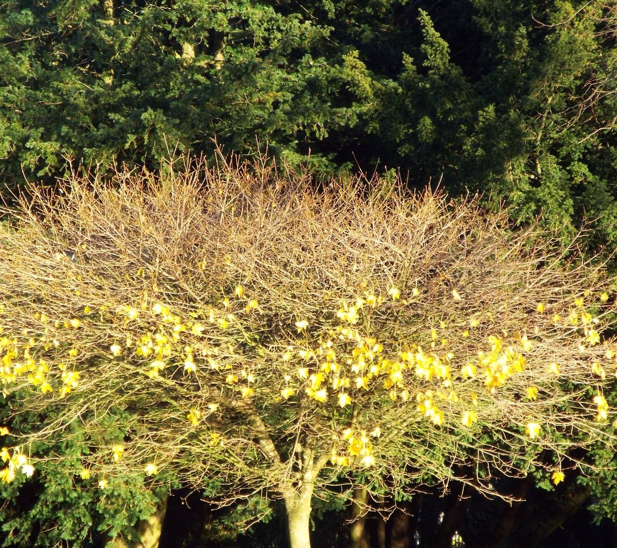 Anthony Rhead (On hiatus) tweet media