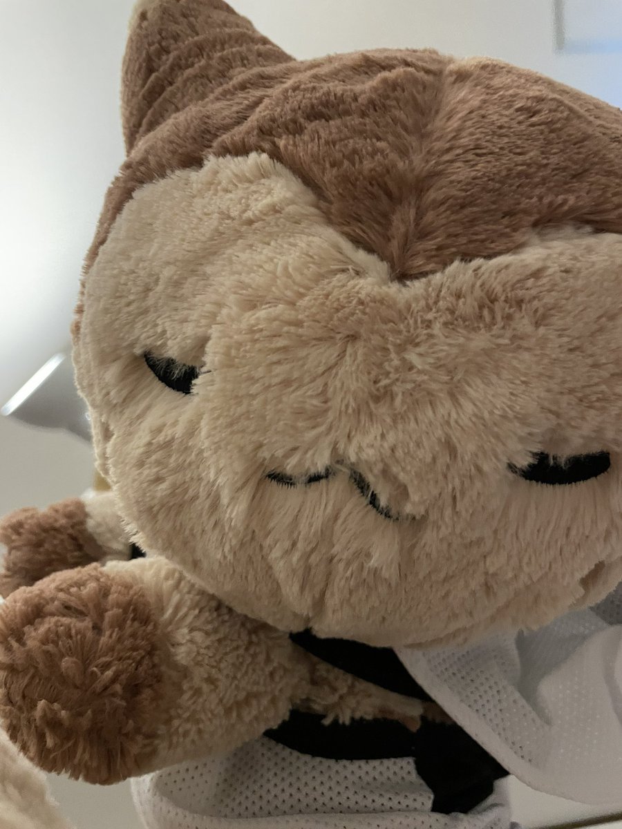 ぐぐぐ tweet media