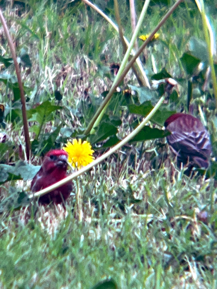 Andrew Murray tweet media