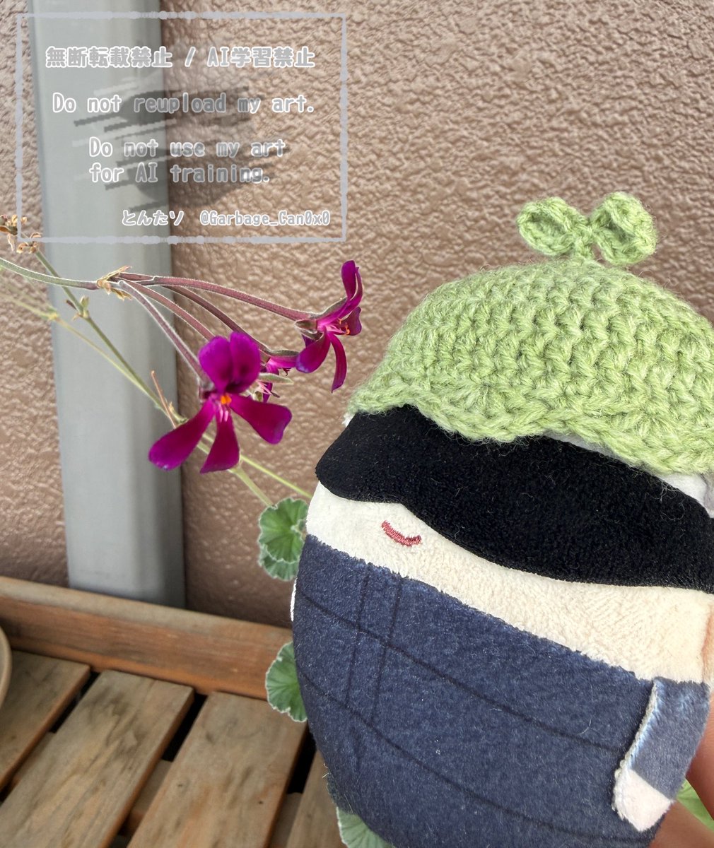 とんたソ tweet media