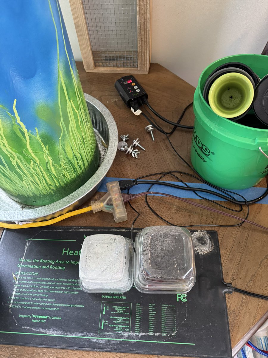 Kate Frost tweet media