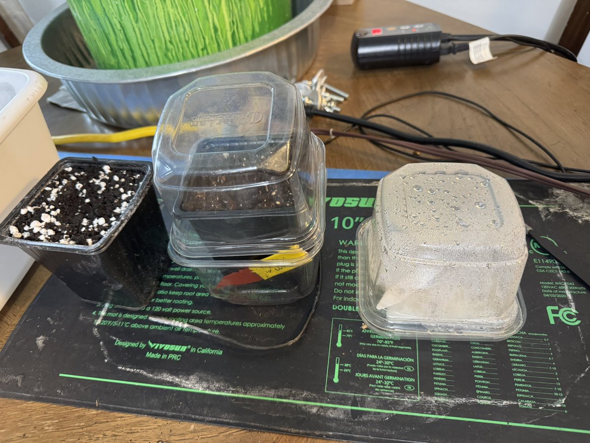 Kate Frost tweet media