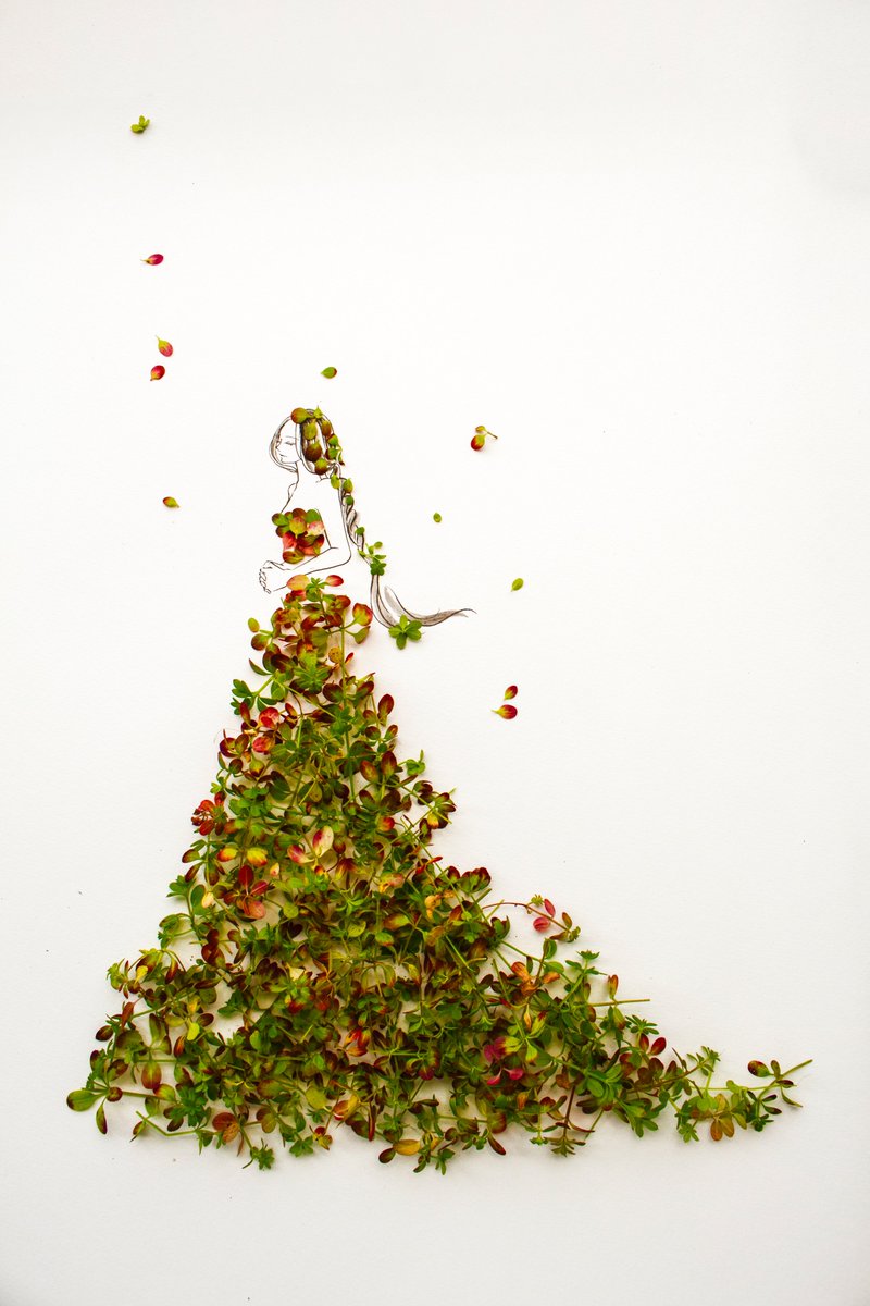 はな言葉🌷葉菜桜花子🌷新刊発売 tweet media