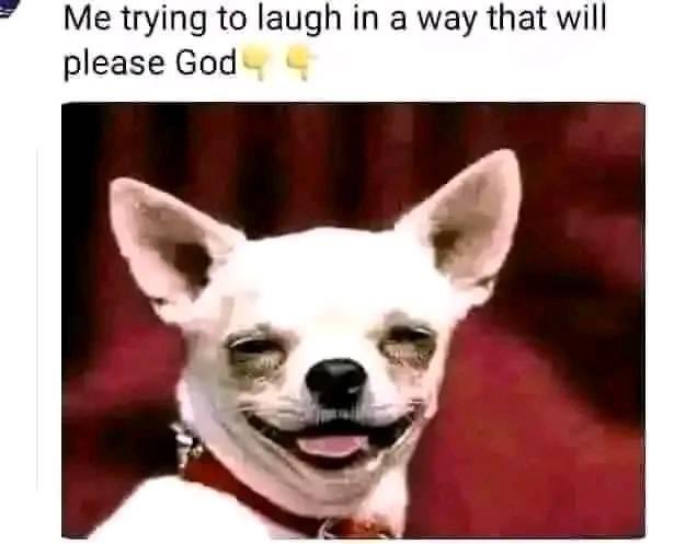 Chuck Nollis tweet media