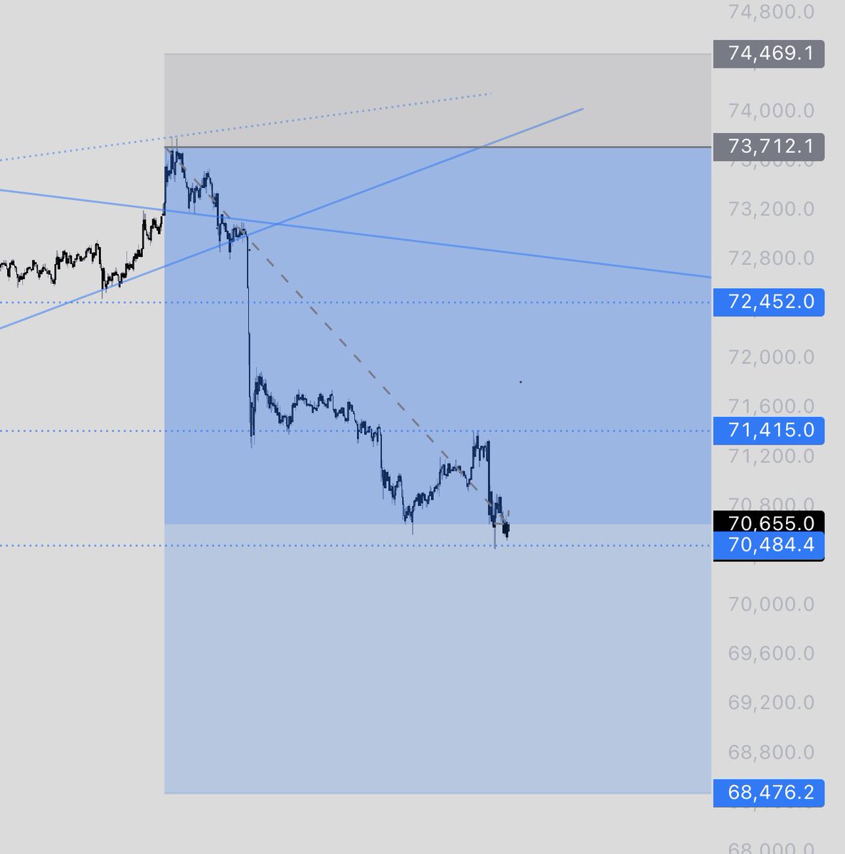NellyTradez tweet media