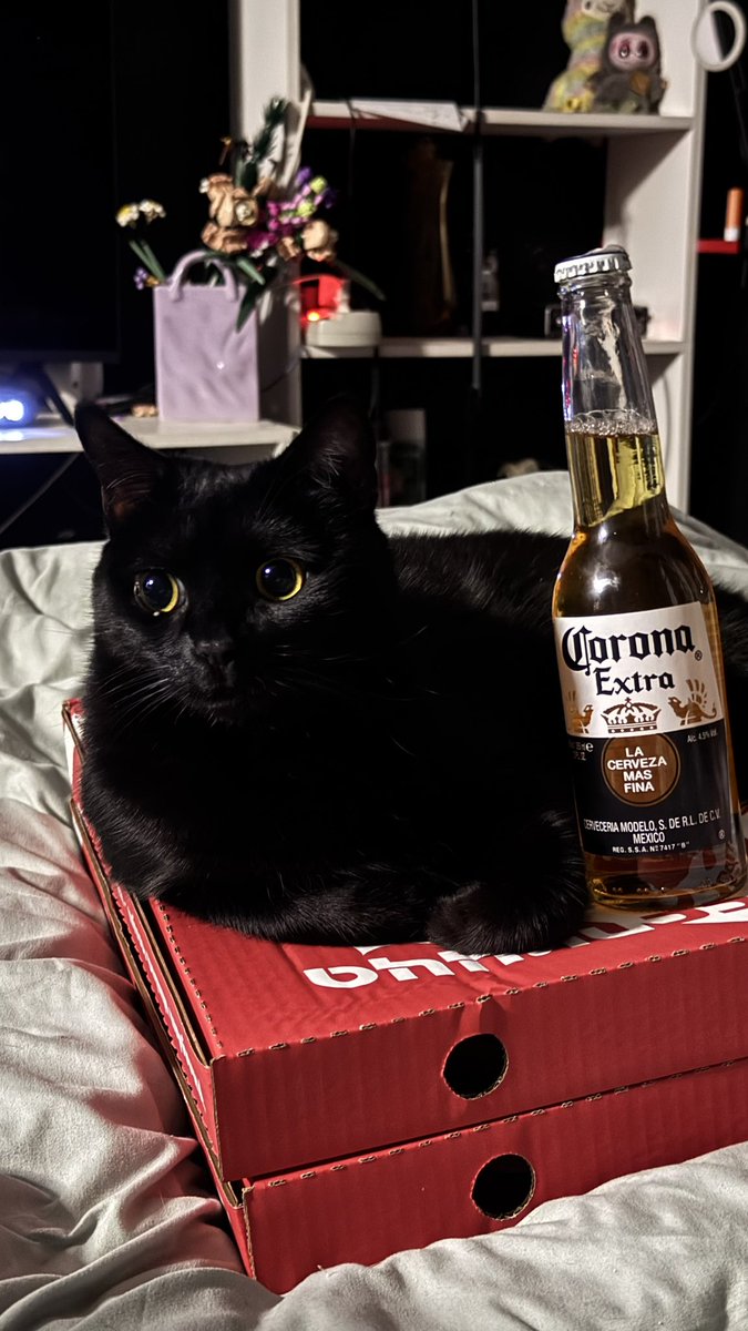 1,5 liters mouse tweet media