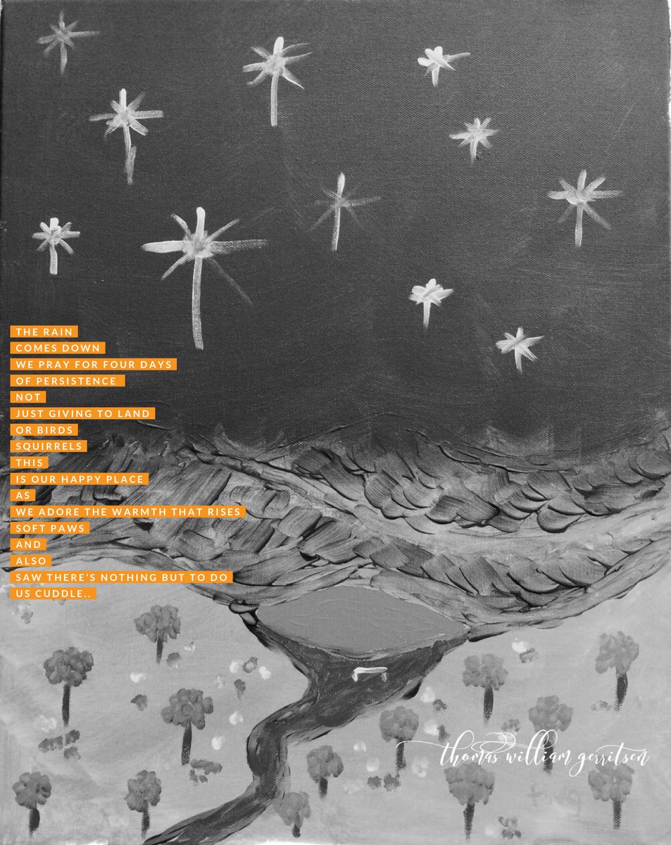 Thomas William Gerritsen tweet media