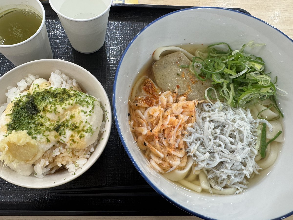 はなはなさんご tweet media