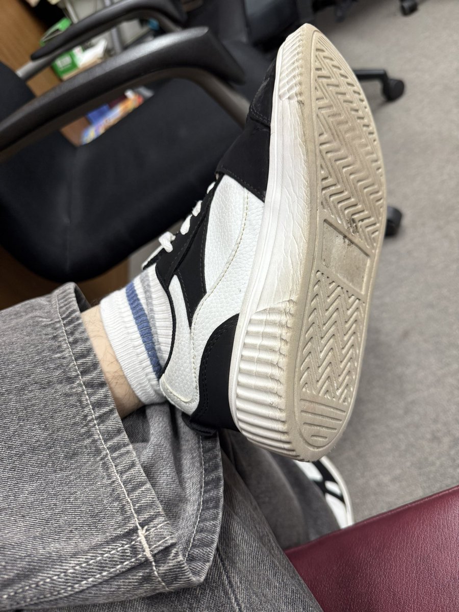 핀돔 tweet media
