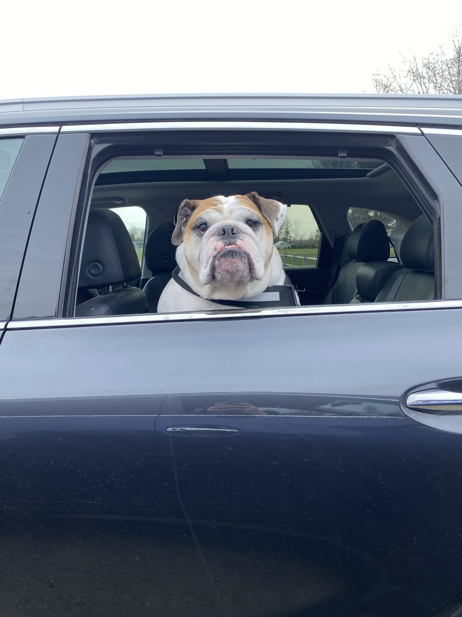 Mr. Truck tweet media