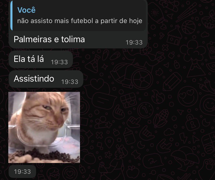 bia juridico vitor roque tweet media