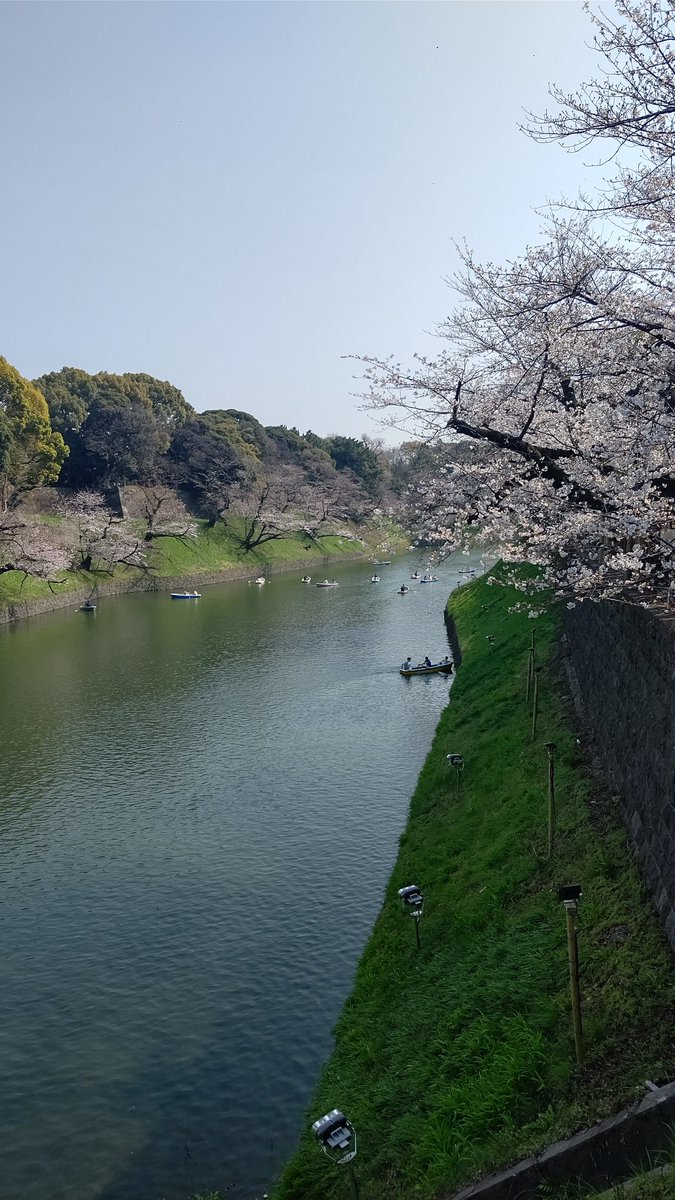 今日は東京大学、東京大学大学院の入学式です。
ご入学された皆さん
おめでとうございます！

皆さんのキャンパスライフが実り豊かなものになりますように✨️