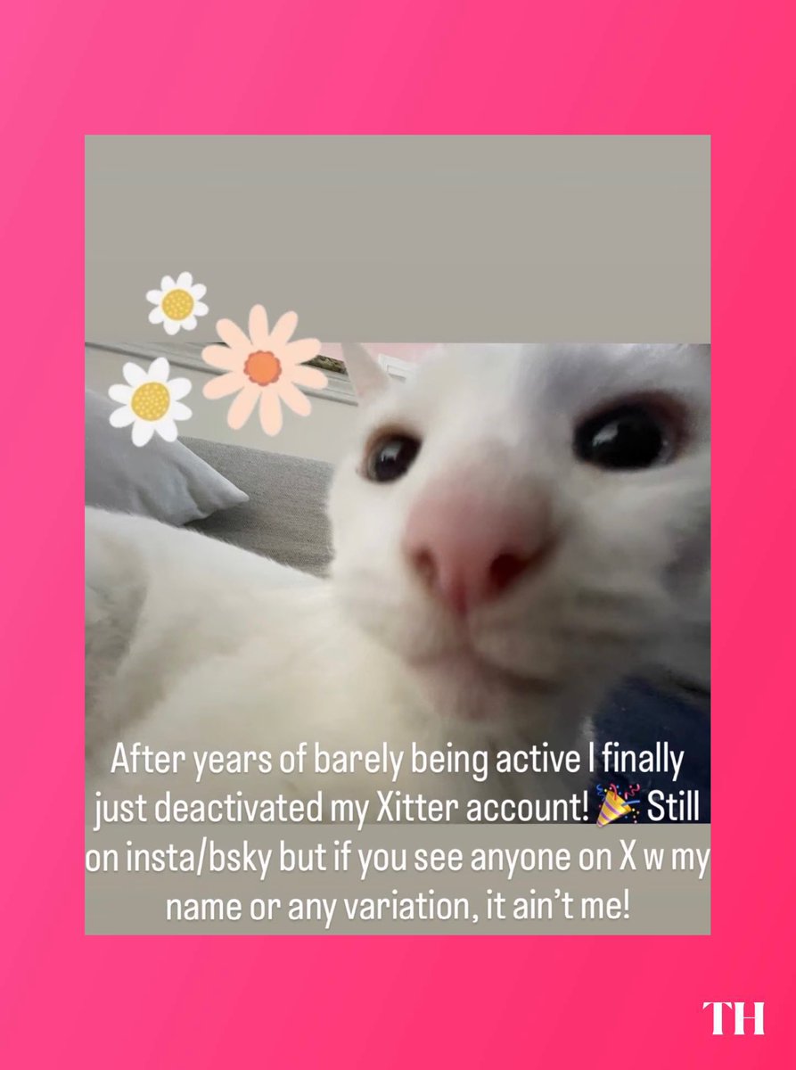 ToonHive tweet media