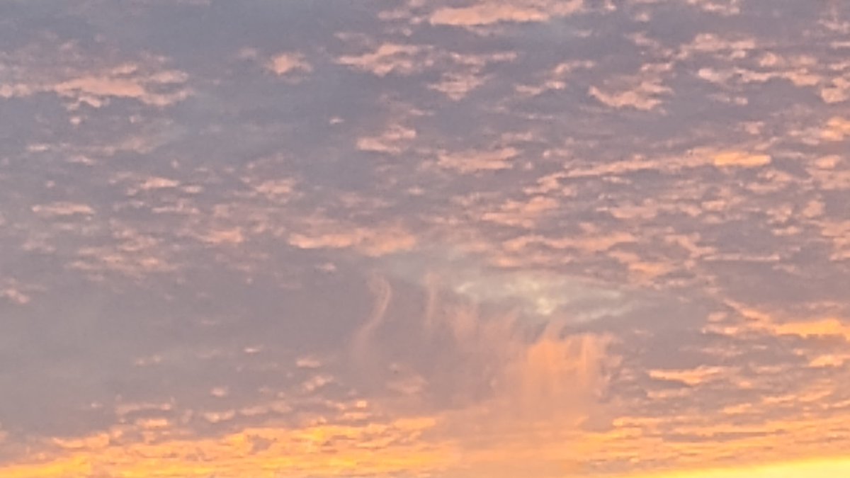 Disclosure Tv News tweet media