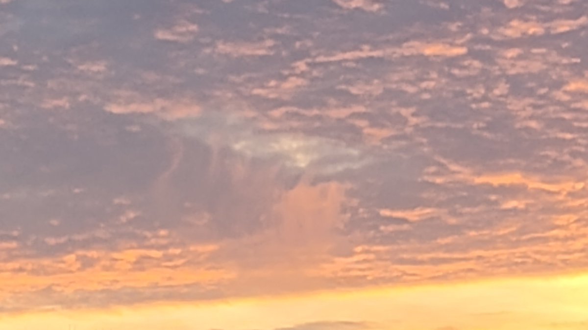 Disclosure Tv News tweet media