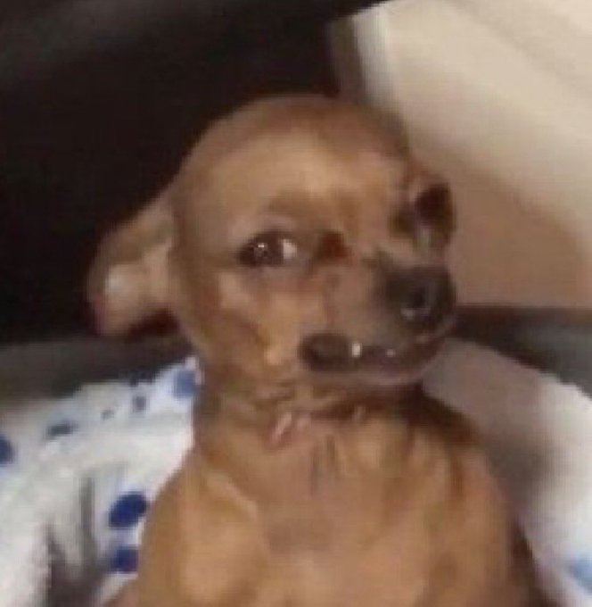 AllForOne tweet media