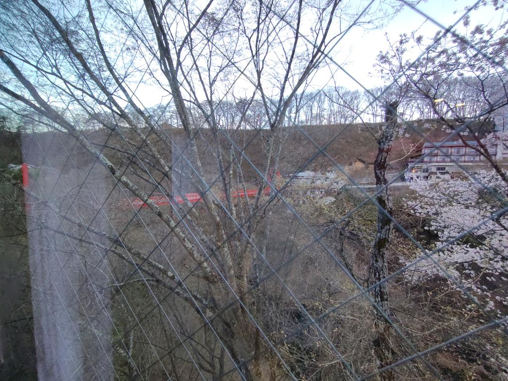 すてっぱー工場長🌻 tweet media