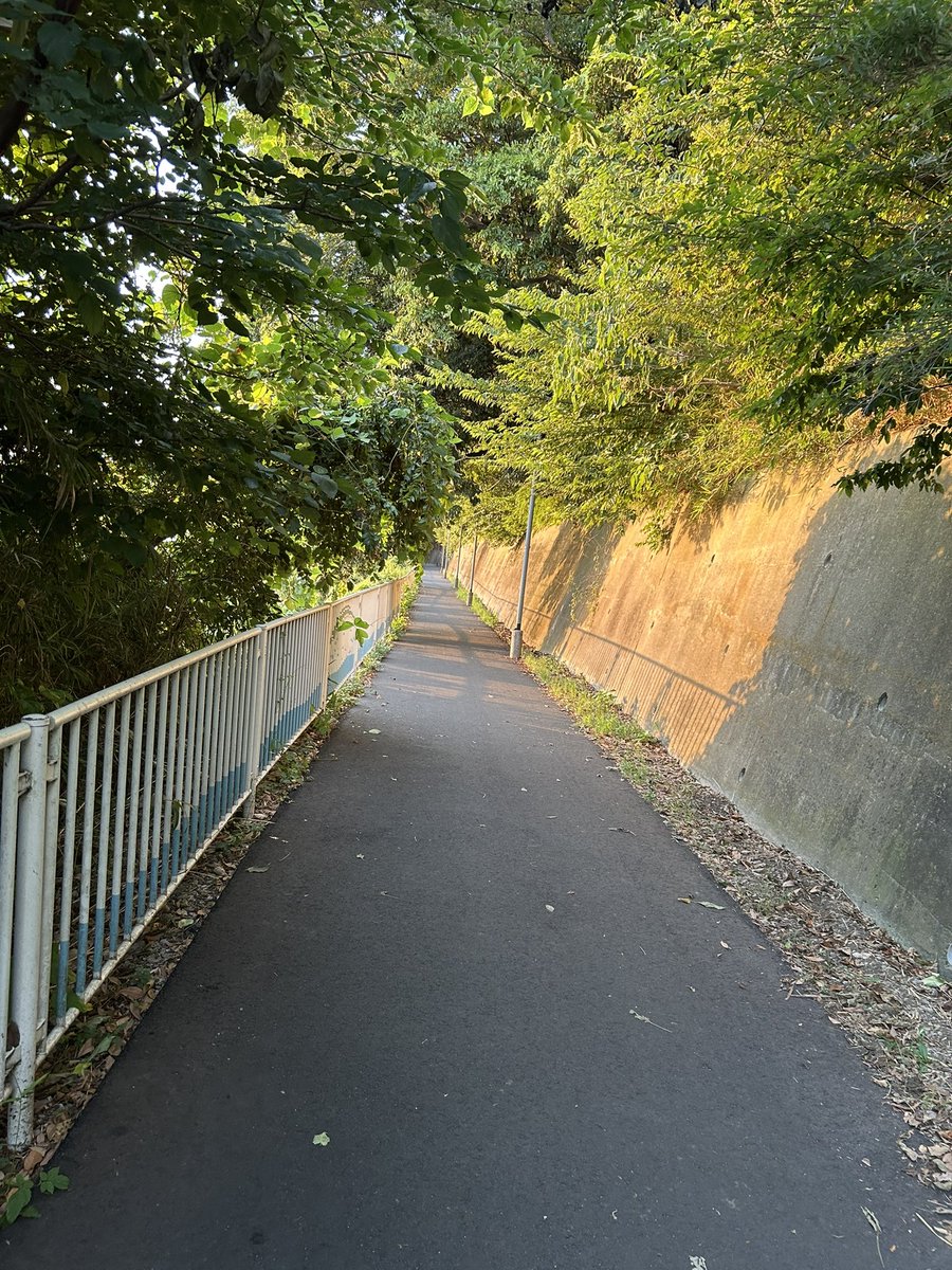 おはようございます🌳