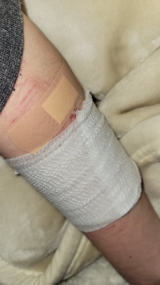 ꒰꒰𝓒ₕₑᵣᵢ𓏼♡ tweet media