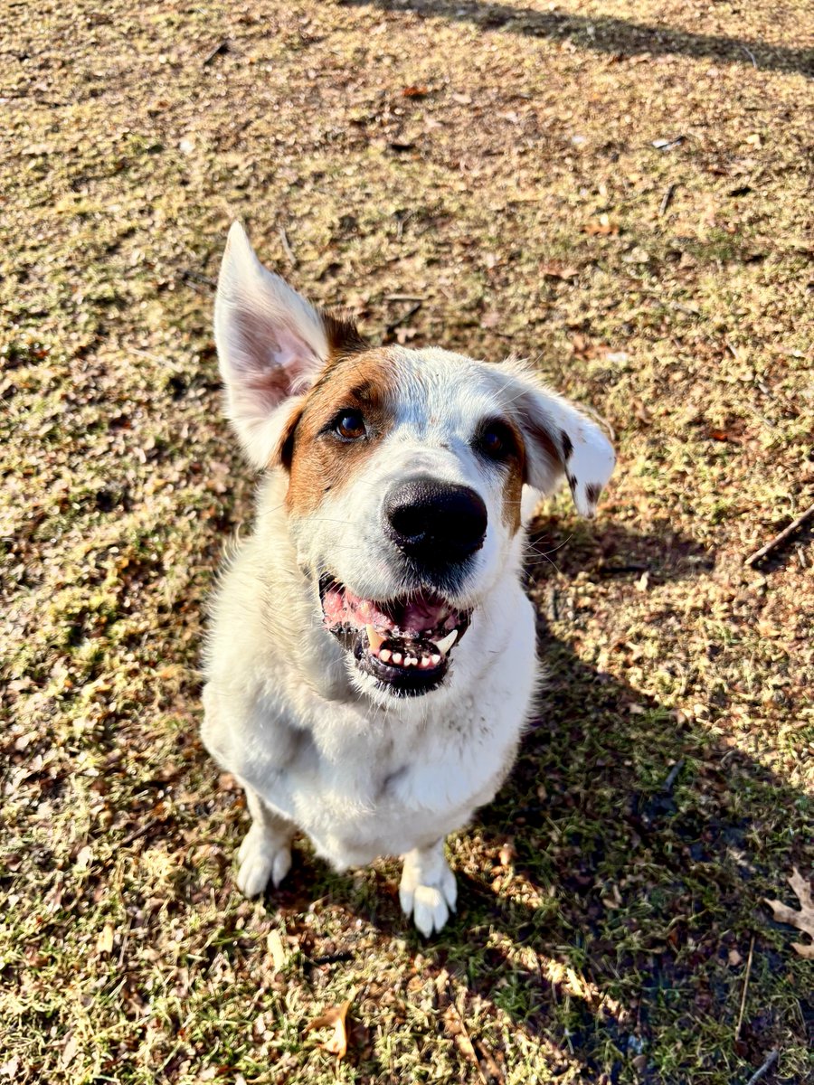 Raghu Venugopal MD tweet media