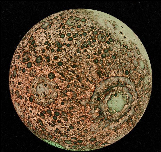 뉴스타 tweet media