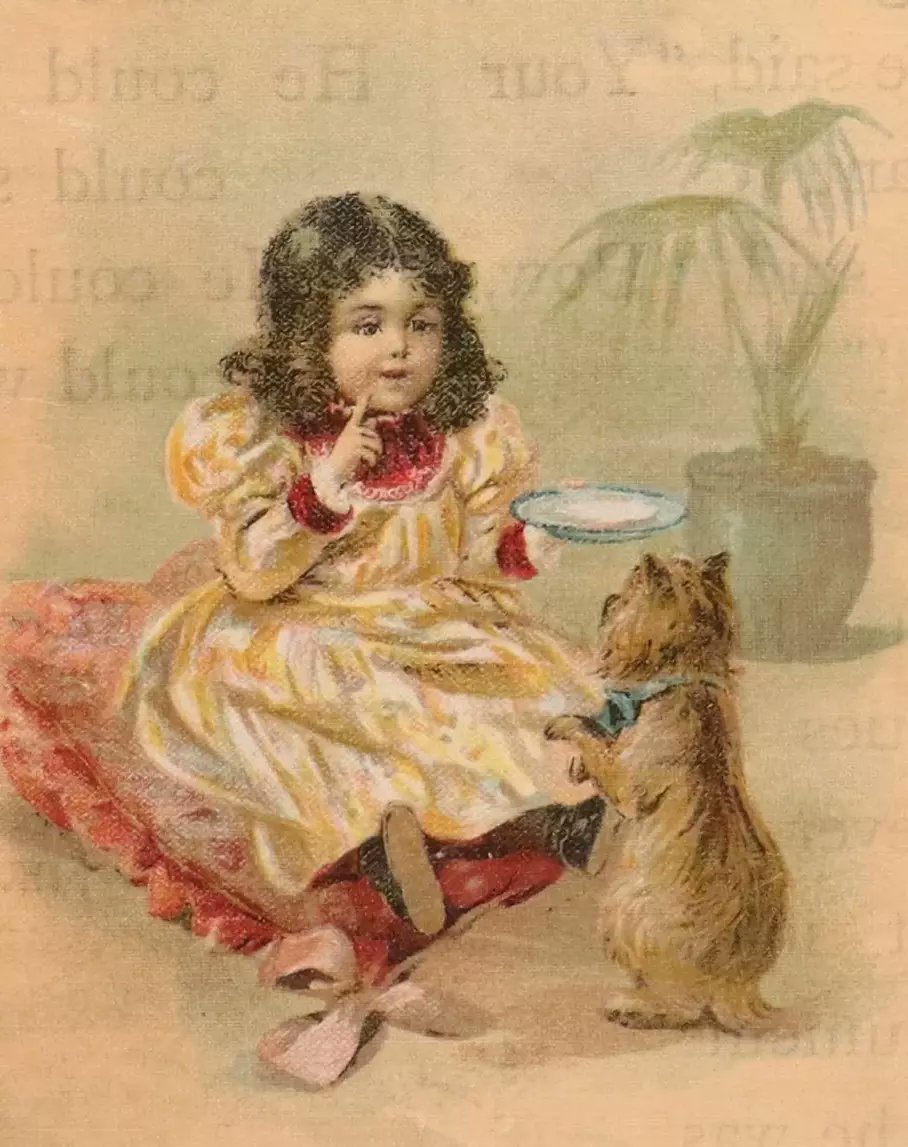 MFLIBRA Antique Books tweet media