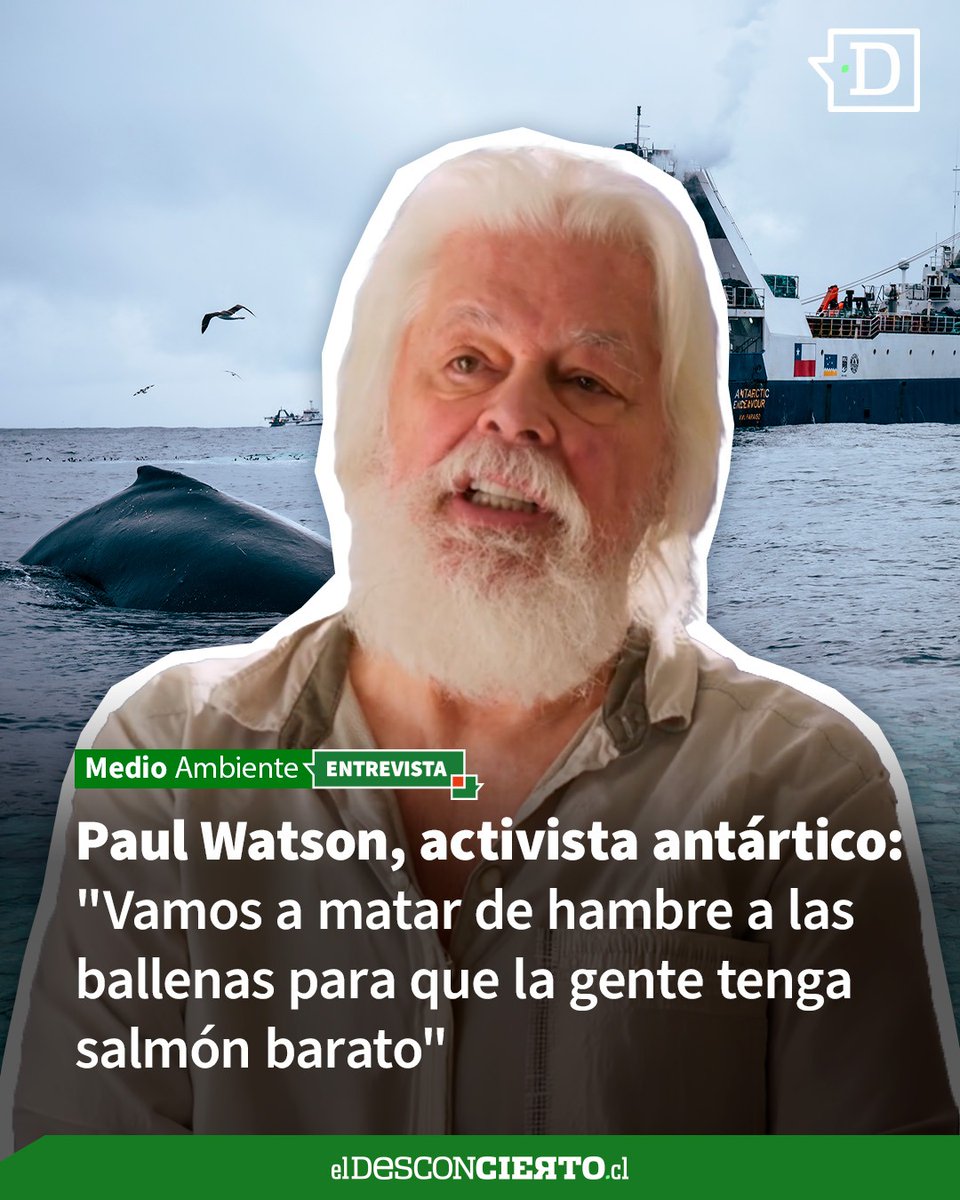 El Desconcierto tweet media