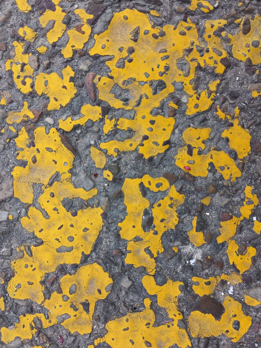 Calbarro's tweet photo. Mi  montaje 'Silencio' acaba de aparecer en la antología poético-visual 'Y ser una estrella inaccesible y alta, alumbrando en  silencio', edición de Diego Castillo Barco y Pedro Luis Ibáñez Lérida, Proyecto Encuentro Letras Celestes, 2026. Os dejo las fotos por su  orden. https://t.co/c44fkq8jhc