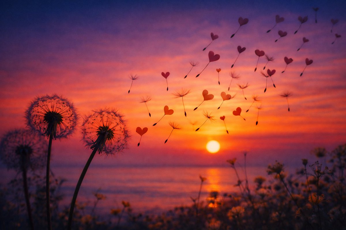 DDeniseGenova's tweet photo. “Love is like the wind, you can’t see it, but you can feel it.” ♥️
Nicholas Sparks https://t.co/lCj8NEvHIY