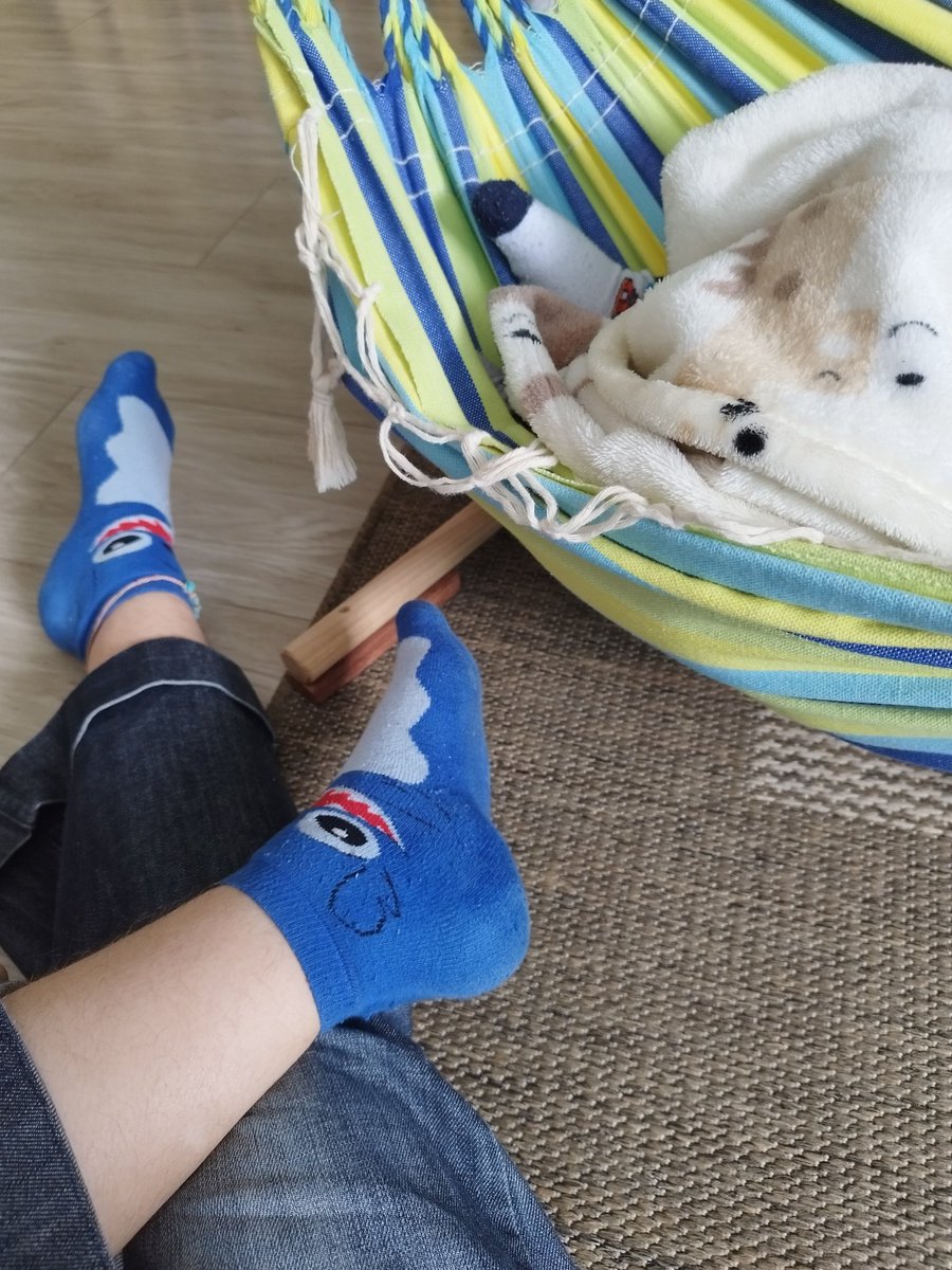 Sunny-182 🚦🦇 (aka:Gio) tweet media