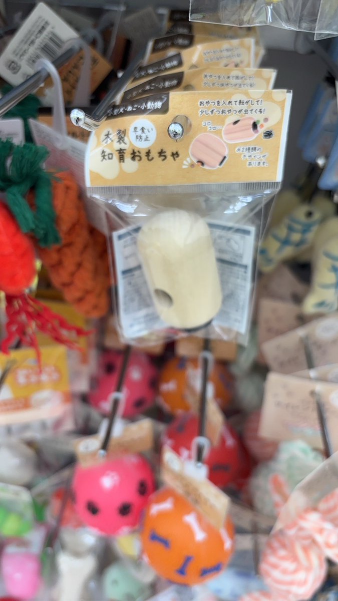 きみちゃん tweet media