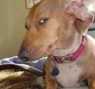 Scrat335 tweet media